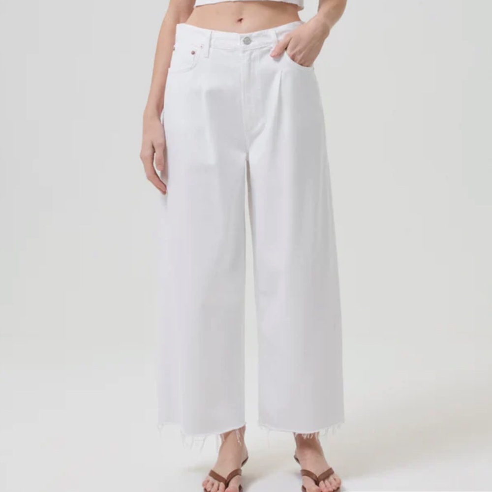Agolde Dagna High Rise Pleat Front Baggy Crop Trouser Size 30 in Baby Powder